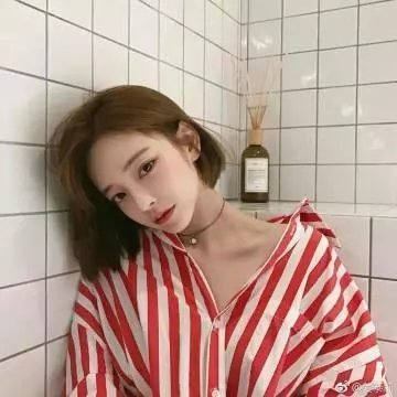 姬蒂的秘密封面