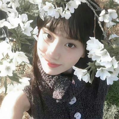 动画少儿