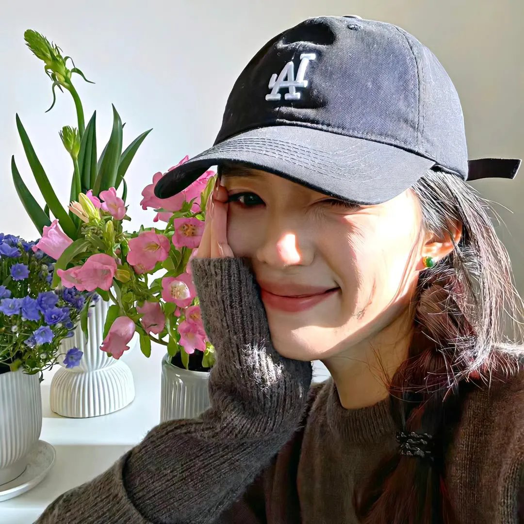 可爱的半月封面